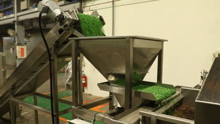 5. Alimentación Cuantitativa